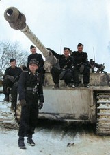 German  WW2  Photo - Commander Michael Wittmann picture