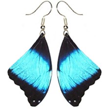 Morpho deidamia forewing blue black preserved butterfly wing earrings picture