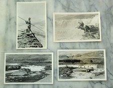 Columbia River Oregon Celilo Falls Indians Spearing Fish Lot of 4 1930s VTG RPPC picture
