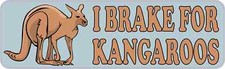 10x3 I Brake for Kangaroos Bumper Magnet Magnetic Vehicle Animal Decal Magnets picture