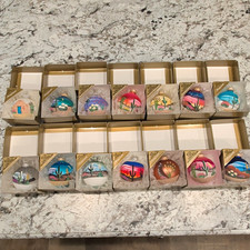 Southwest Christmas Ornaments Hand Painted Glass Desert 14pc 2020 BRENDA SCHODT picture