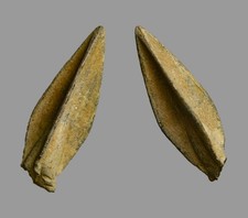 Roman Siege of Jerusalem Bronze Socketed Arrowhead 3.3cm c. 66-70 AD COA picture