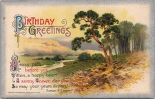 1912 Winsch BIRTHDAY GREETINGS Embossed Postcard 