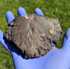 Meteorite**NWA Unc.**654.50 gram W/Fluted Deep Regmaglypts; Best On The Market picture