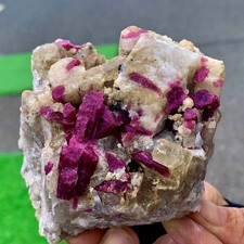 415G Rare Natural pink-red tourmaline quartz crystal cluster mineral specime picture