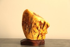 HUGE Baltic butterscotch Amber – 1025 G – Exceptional specimen with TIGER LINES picture