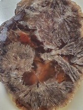 Rare Sagenite Needle Baker Ranch Banded Agate Thunderegg Crystal Geode 257g Roug picture
