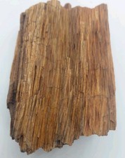 Utah Petrified Wood Fossilized Tree Limb Excellent Bark Grain Quartz Vein 1 Lb picture