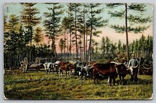 Postcard A 636, Mobile Ala., From Forest to Mill, Raphael Tuck, Posted Dec. 1907 picture