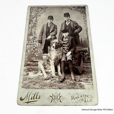 Antique Cabinet Card Photo Three Men Boys & Dog Saint Bernard Wheaton Illinois picture