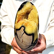 3.42LB Natural yellow turtle-back crystal cave quartz crystal mineral specimen picture