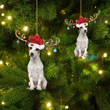 New Jack Russell Terrier Dog Christmas Gift Ornament SO268 picture