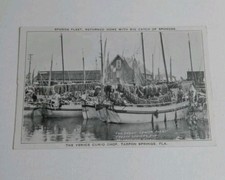 Tarpon Springs Florida Sponge Fleet Boats Venice Curio Shop Postcard Fishing picture