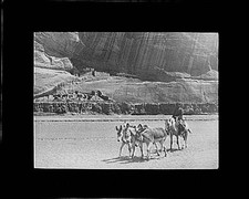 Canyon de Chelly AZ 1899 Navajo Pack Mule Canyon De Chelly Lantern Slide picture