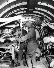US Nurse with Wounded Marine Aboard Aerial Evacuation Unit WWII 8x10 Photo 353a picture