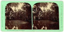 FLORIDA STEREOVIEW - Enterprise - White Sulphur Springs - AF Styles 1870s picture