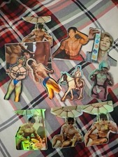 Gay Asian Stickers x11 Lot, Holographic 3x3inches Muscle Men picture