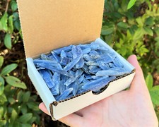 Natural Blue Kyanite Blades Gift Box Lot - 'A' Grade Kyanite Crystals 1/2 lb Lot picture