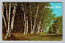 Hibbing MN-Minnesota, Beautiful White Birches, Vintage Postcard picture