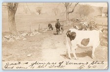 1907 Horses Cows Glimpse Of Vermont State Bennington VT RPPC Photo Postcard picture