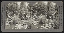 Photo:St Paul Minnesota 1926 Como Park Lily Pond Aquatic Garden Statuary picture