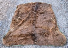 Cownie Tanning Co. Des Moines, Iowa Felt Lined Horse Hide Carriage Blanket picture