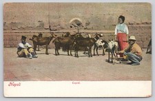 Vintage Napoli Italy Goats Milk Seller Street Scene Postcard E. Ragozino picture