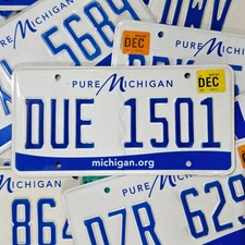 Michigan License Plate 🔥FREE📫🔥 1 Random MI Pure Michigan Real Tag picture