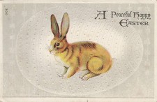 Vintage Embossed Easter Bunny Rabbit Postcard 