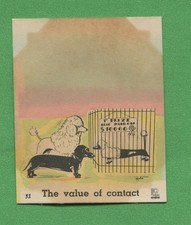 1937 Dogs by Zito No 31 Poodle Dachshund Dog Show Vintage Trading Card picture