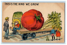 c1910s Giant Tomato and Vegetables This Is The Kind We Grow Exaggerated Postcard picture