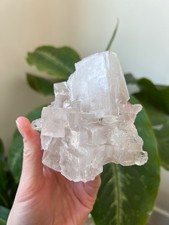Large Clear Cubic Phantom Halite –10 oz - Geometric Crystal Cluster – Morocco picture