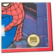 Spiderman Animation Seri Cel Custom Framed picture