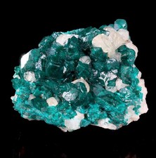 Big Beautiful Dioptase Crystals on Calcite - Kaokoveld, Namibia picture
