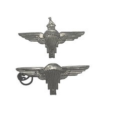 Vintage 1980's Early Zimbabwe Parachute Regiment Jump Wings & Cap Badge Grouping picture