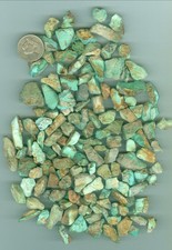 262 Grams of Natural American Green Tree Mine Turquoise Rough Nevada Turquoise picture