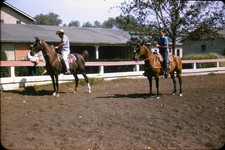 1960 Kodachrome Slide Man Giving Boy Lessons Ride Horses Equestrian  picture