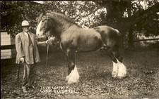 Glen Ellen CA Author Jack London w/ Horse c1900s-10s Real Photo Postcard bhn picture