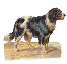 1888 Chromo decoupis, Big BLK & WHT Victorian DOG, Antique Die-Cut Scrap, 4. picture