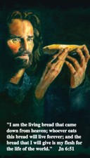 Anima Christi Prayer Card, 10-pack, with Two Free Bonus Cards picture
