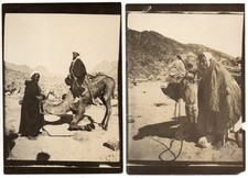 Antique photos BEDOUIN TRAVEL dromedary camels desert 1890s Egypt Africa culture picture