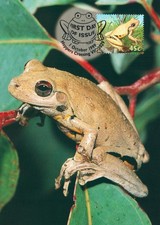 1999 Aust. Roth's Tree Frog POSTCARD Maxi card Cancelled in Hoppers Crossing VIC picture