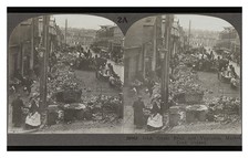Cork Ireland Fruit Market Standard Postcard picture