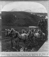 Gardiner Wyoming Yellowstone National Park Coach Tour Stagecoach c1904 picture