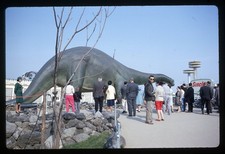 sl47 Slide 1964 New York World's Fair Sinclair Dinosaur Exhibit 754a picture