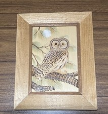 Vintage Pyrography Owl Art Bert Peters Framed picture