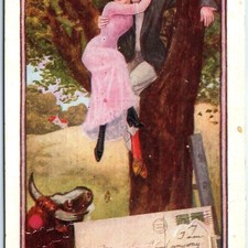 c1910s Couple Tree Escaping Angry Bull Postcard Redding CA Centerville Dance picture
