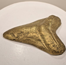Huge Brass Cast Megalodon Tooth picture