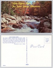 Little Pigeon River Great Smoky Mountains National Park Fall Foliage Postcard picture