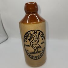 Antique Ginger Beer Bottle Stoneware, Tamplin & Co Liverpool  picture